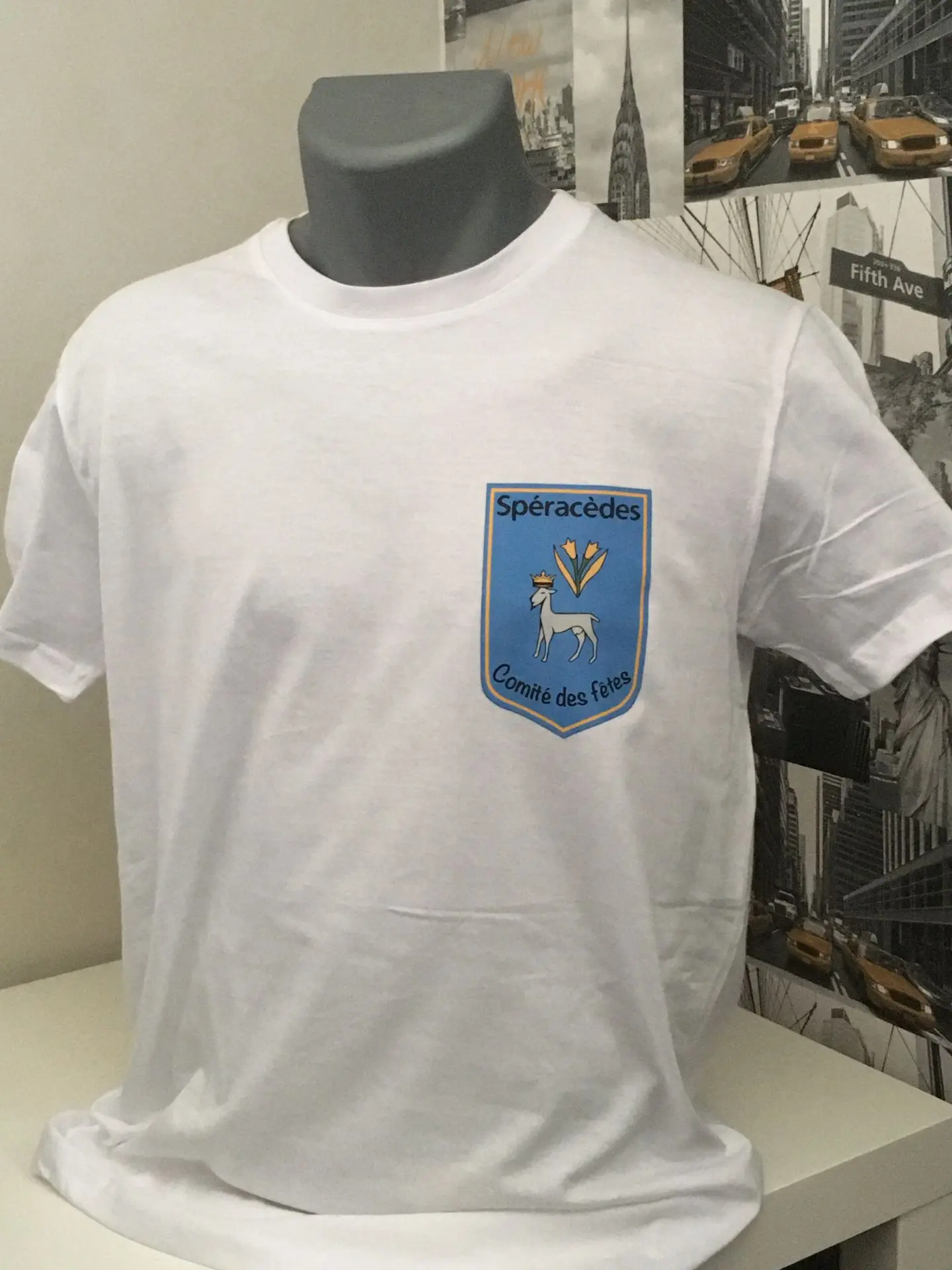 marquage personnalisation flocage impression textile lyon l&#39;isle d&#39;abeau la verpillère villefontaine saint bonnet de mûre la tour du pin bourgoin jallieusérigraphie tee shirt sweat polo casquette totebag 